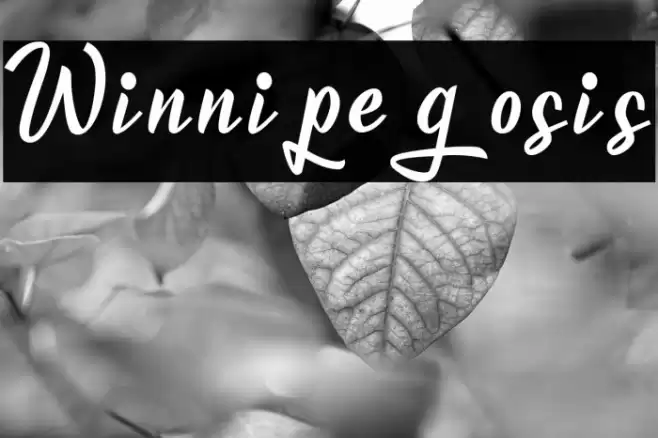 Winnipegosis Font examples