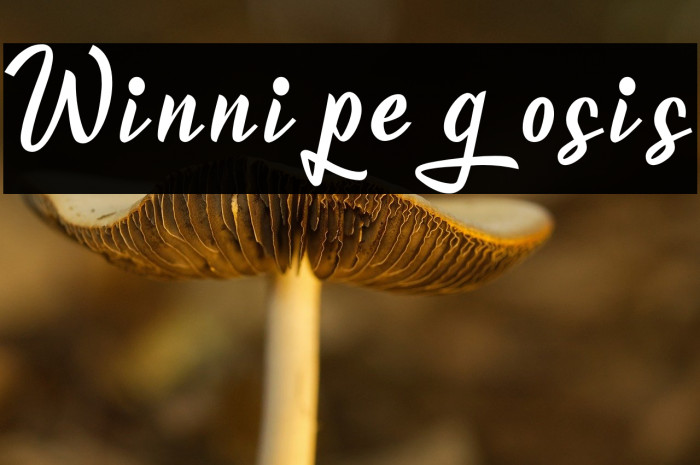 Winnipegosis Example 2