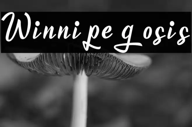 Winnipegosis Font examples