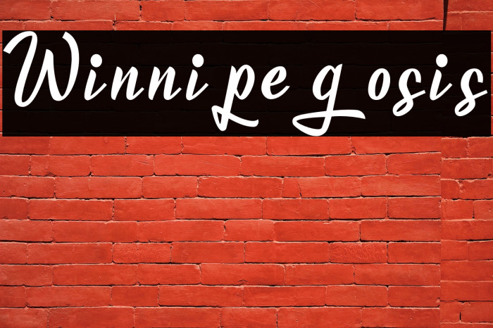 Winnipegosis Example 3