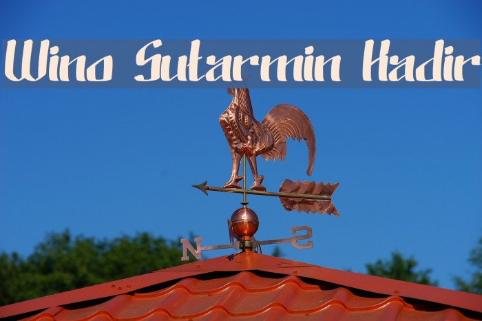 Wino Sutarmin Kadir Font examples