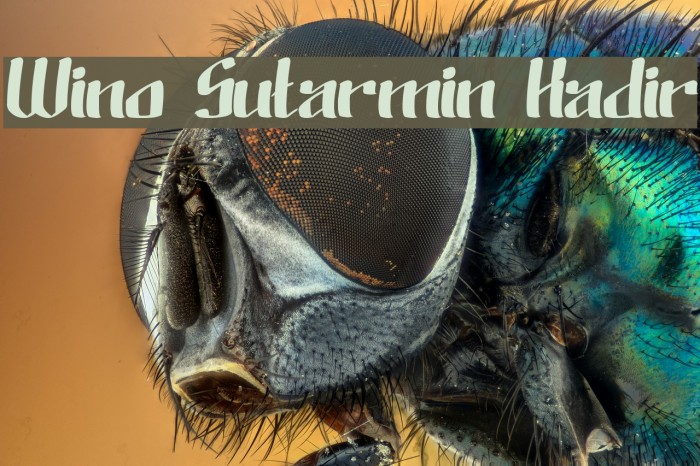 Wino Sutarmin Kadir Font examples