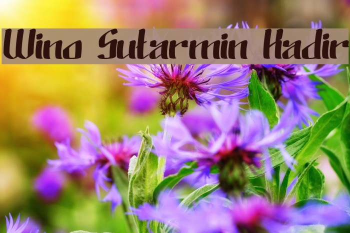Wino Sutarmin Kadir Font examples