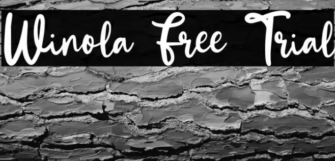 Winola Free Trial Font examples