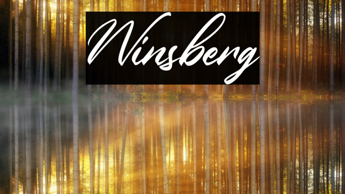 Winsberg Font examples