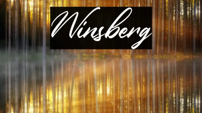 Winsberg Example 1