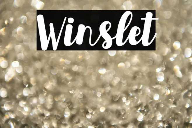 Winslet Example 1