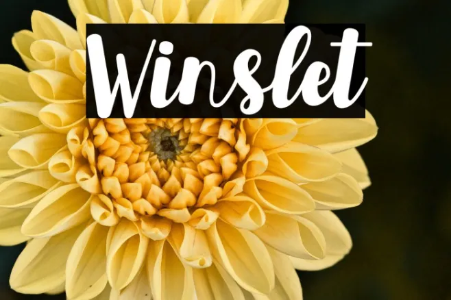 Winslet Example 3
