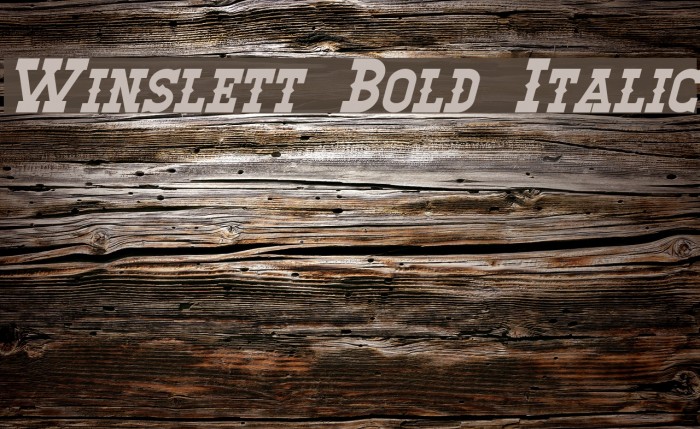 Winslett Bold Italic Font examples