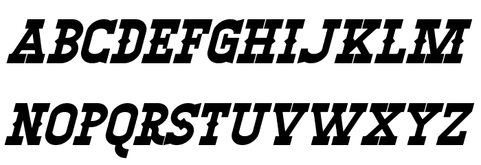 Winslett Bold Italic Font LOWERCASE