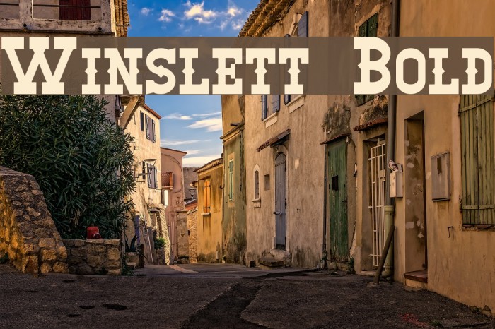 Winslett Bold Font examples