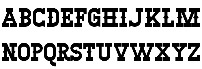 Winslett Bold Font LOWERCASE