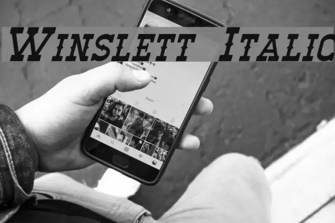 Winslett Italic Font examples