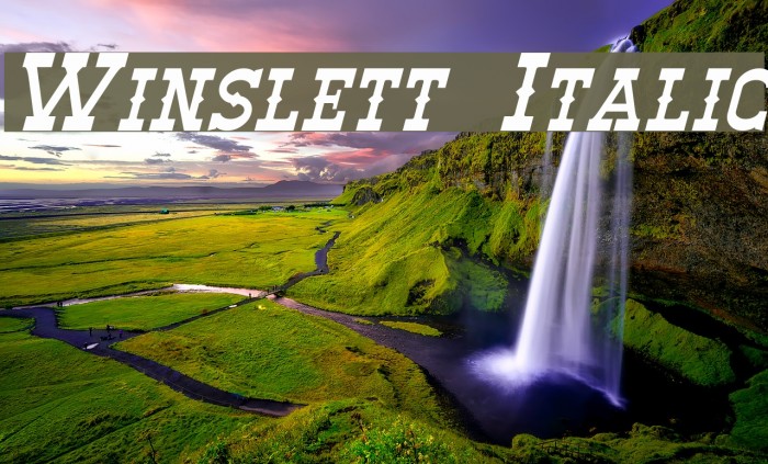 Winslett Italic Font examples