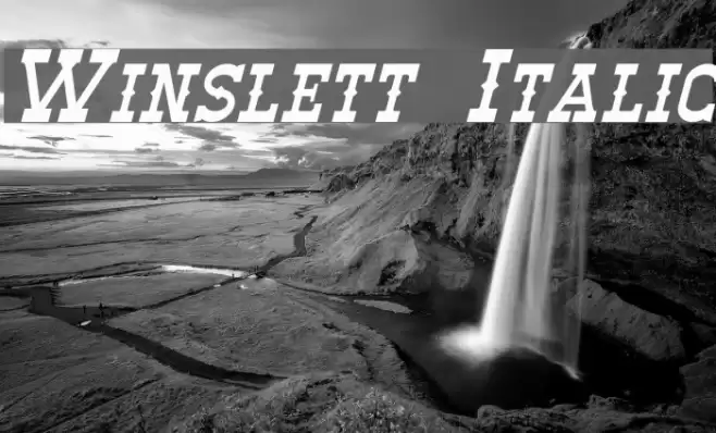 Winslett Italic Font examples