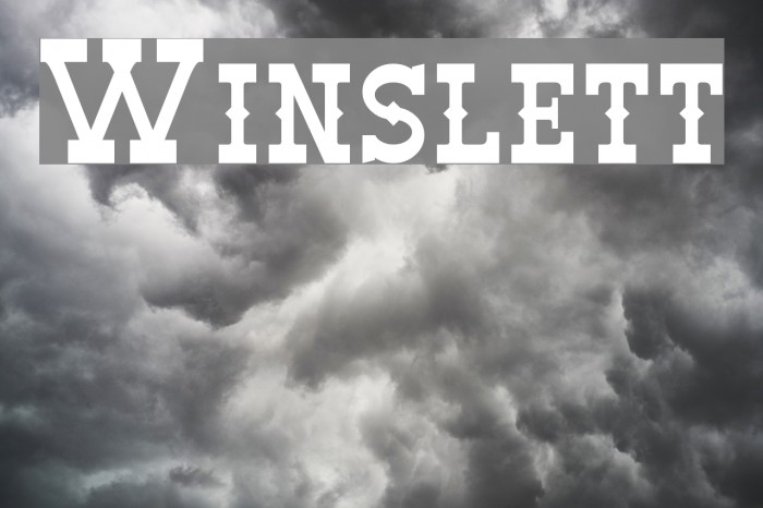 Winslett Font examples