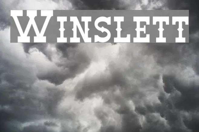 Winslett Example 2