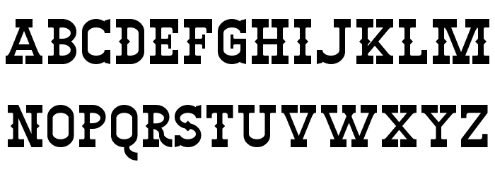 Winslett Font LOWERCASE