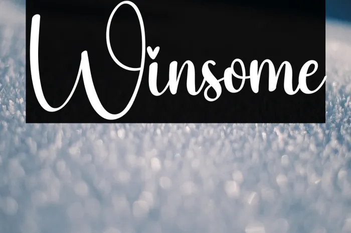 Winsome Example 1