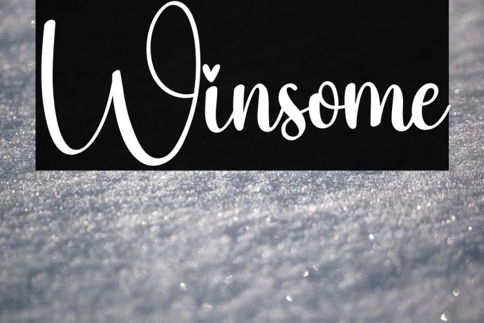 Winsome Example 2