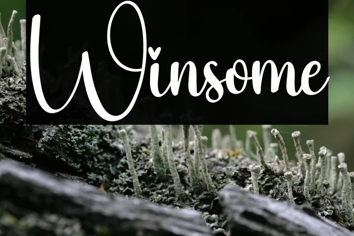 Winsome Example 3