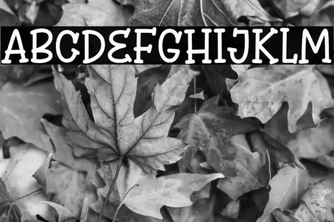 Winsten Sparky Font examples