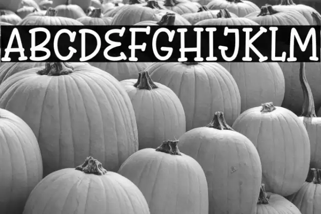 Winsten Sparky Font examples