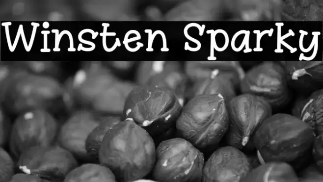 Winsten Sparky Font examples