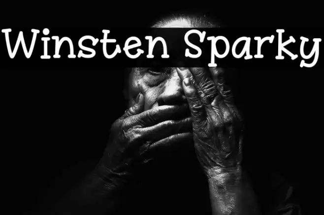 Winsten Sparky Font examples