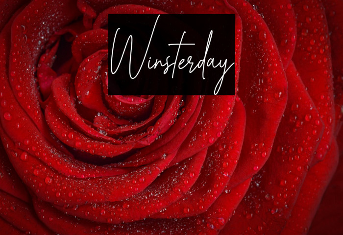 Winsterday Example 1