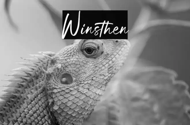 Winsthen Font examples