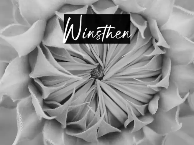 Winsthen Font examples