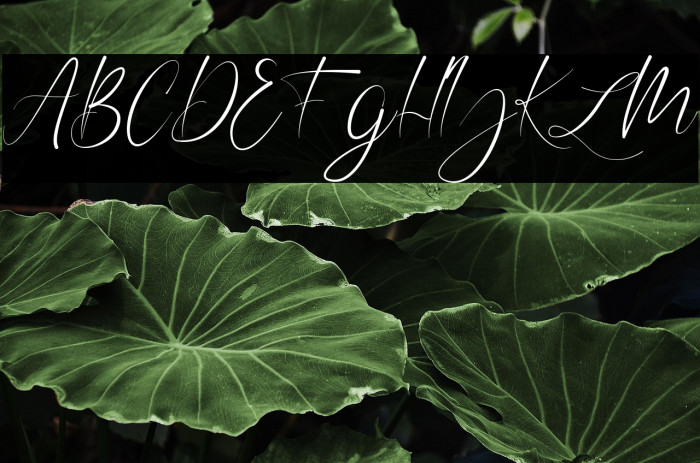 Winston Andrews Example 3