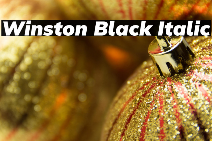 Winston Black Italic Example 1