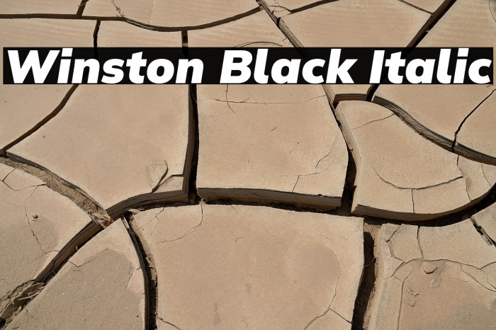 Winston Black Italic Example 2