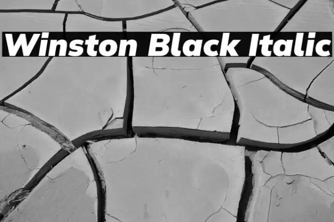 Winston Black Italic Font examples
