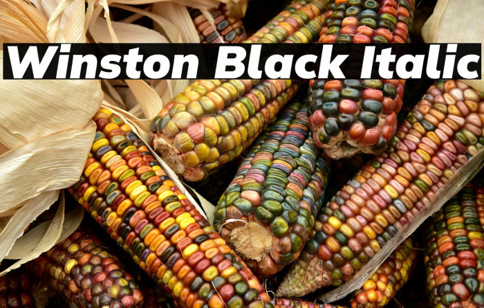 Winston Black Italic Example 3