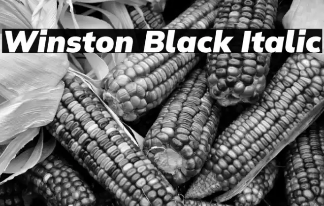 Winston Black Italic Font examples