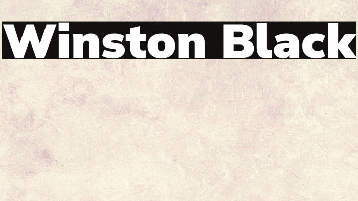 Winston Black Example 1