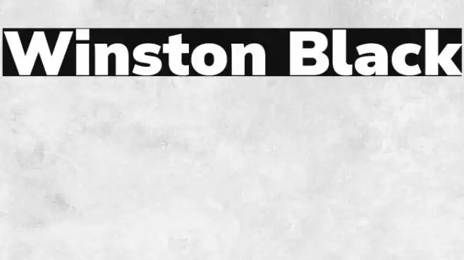 Winston Black Font examples