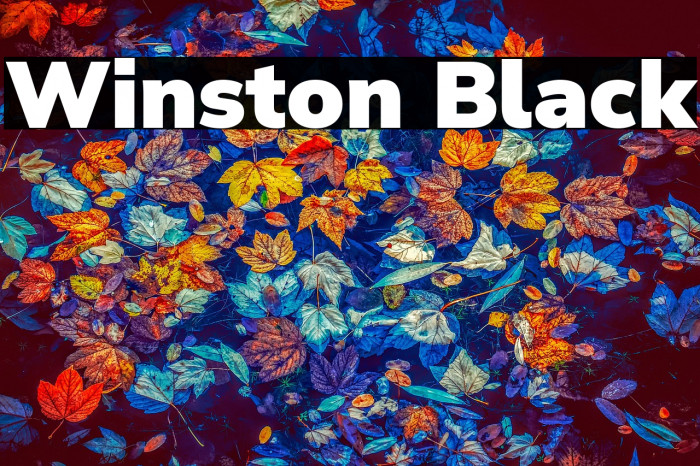 Winston Black Example 2