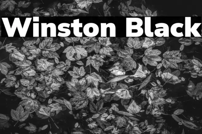 Winston Black Font examples