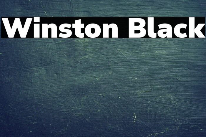 Winston Black Example 3