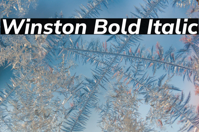 Winston Bold Italic Example 2