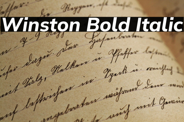 Winston Bold Italic Example 3