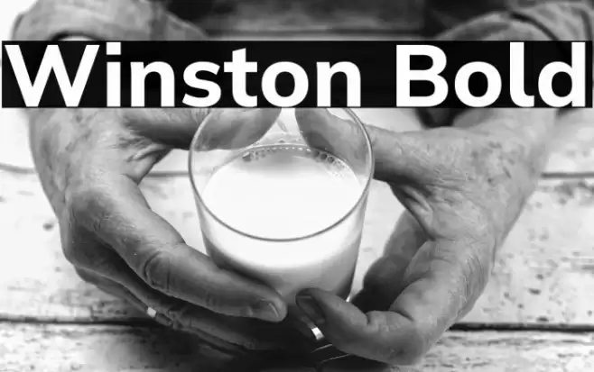 Winston Bold Font examples