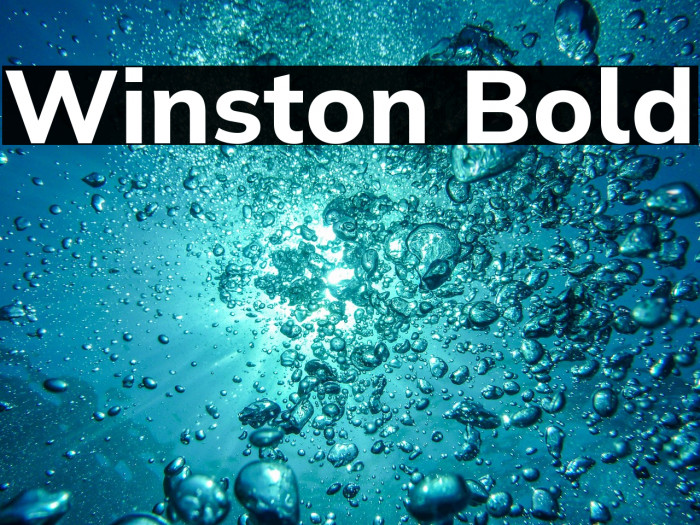 Winston Bold Example 2