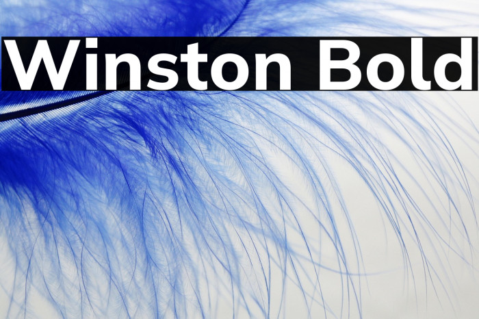 Winston Bold Example 3