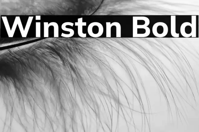 Winston Bold Font examples