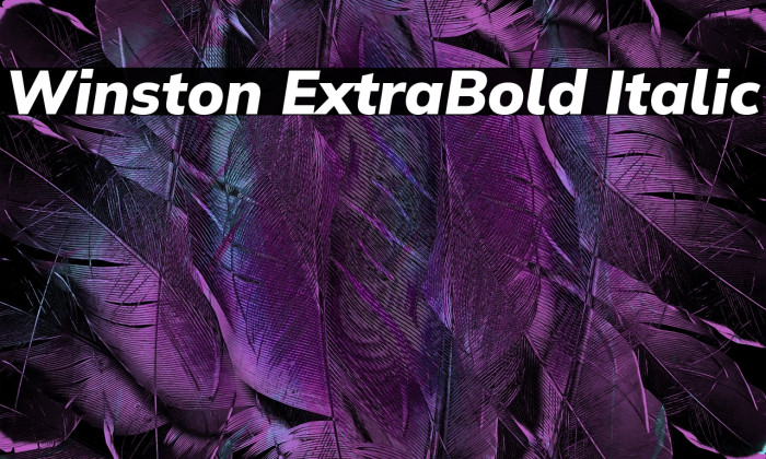 Winston ExtraBold Italic Example 1